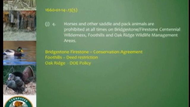 TFWC Commission Meeting 052314.2 смотреть онлайн