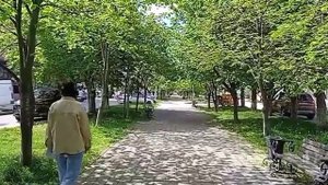 Анапа🌞 Улица Кати Соловьяновой, липы и каштаны в молодой листве /// 19 апреля 2024