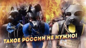 «Дети-кошки»: квадроберы - невинная забава или реальная угроза?