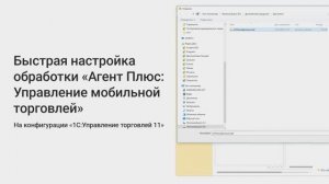 Быстрая настройка обработки «Агент Плюс: Управление мобильной торговлей» на «1С:УТ» редакции 11