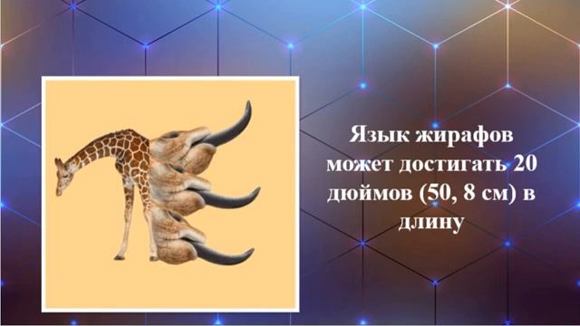 Видео от КУЛЬТУРА. ЧАПЛЫГИН смотреть онлайн