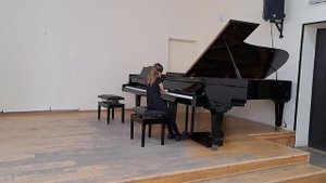 Р.Петерсен Марш гусей