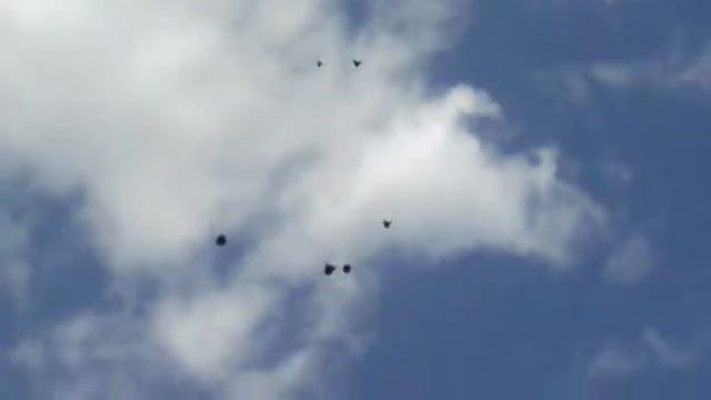 Кировоградские голуби.2018 Политов Алексей 89375617363 смотреть онлайн