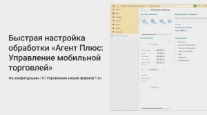 Быстрая настройка обработки «Агент Плюс: Управление мобильной торговлей» на «1С:УНФ» редакции 1.6