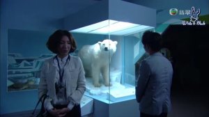 Моя королева 1 сезон 17 серия