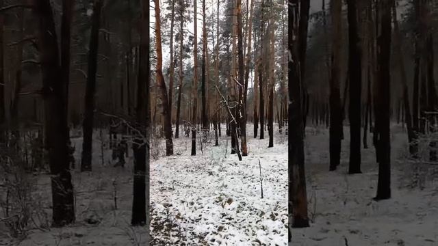 Воложанин Александр сделал фильм про разведчиков ⭕️ Спецназ Ахмат Рус. Якудза на связи