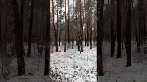 Воложанин Александр сделал фильм про разведчиков ⭕️ Спецназ Ахмат Рус. Якудза на связи