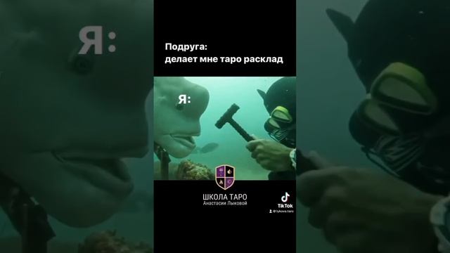 Расклады Таро