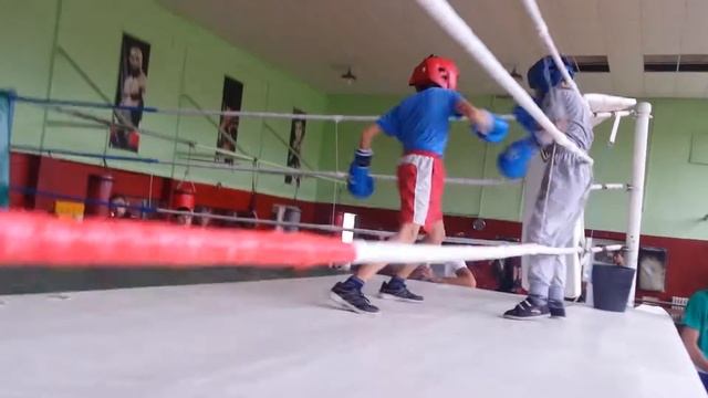 viktorio iliev ..Boxing смотреть онлайн