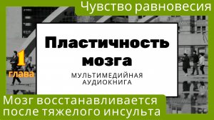 Пластичность мозга. Чувство равновесия. Мозг восстанавливается даже после тяжелого инсульта.