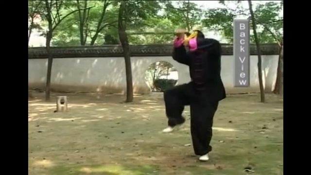 Тайцзи Чэнь, меч Цзянь 17 смотреть онлайн