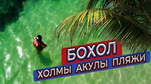 Бохол и Панглао на Филиппинах. Шоколадные холмы. Китовые акулы. Пляжи и офигенный хавчик.