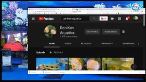 THE 6 BEST CHANNELS ON FISH TUBE | FATHER FISH