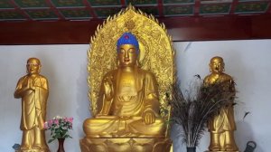 Продолжаем путешествие по Тульской области. Богородицк, парк динозавров, Китай в центре России.