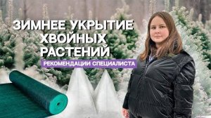 Как защитить растения от ожогов_ рекомендации специалиста