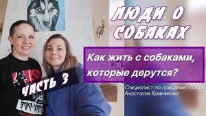 Собаки дерутся или о чем говорят собаки? | 3 часть интервью с Анастасией Кривчиковой