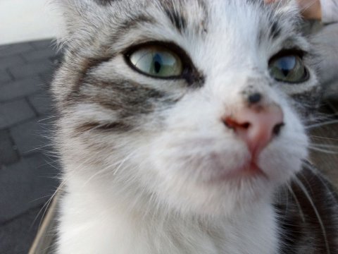 делаем урокииииии