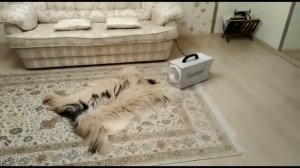 Ozonbox  - реальный отзыв покупателя. Купить озонатор в магазине Raseia.RU.