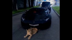 Skriptonit - Чистый [Slowed remix]