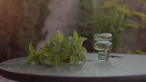 4768892-hd_1920_1080_25fps