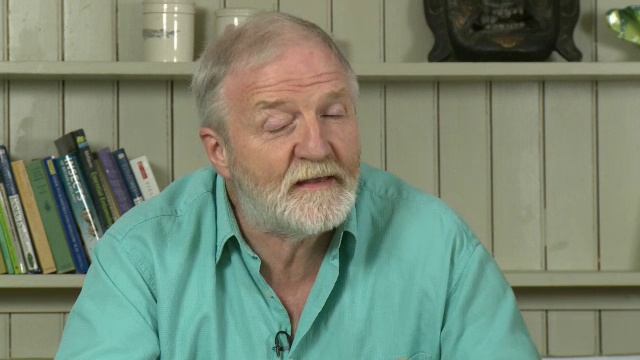 George_McGavin_mixed_part_1_pre_res_new смотреть онлайн