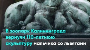 В зоопарк Калининграда вернули 110-летнюю скульптуру мальчика со львятами