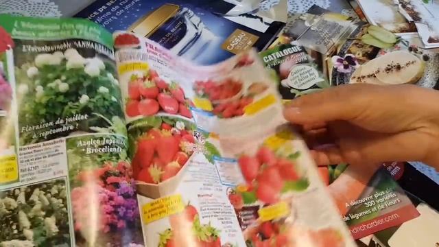франция/Вокруг Тыквы/Обзор французских журналов/Что новенького/provenceallochka vlog
