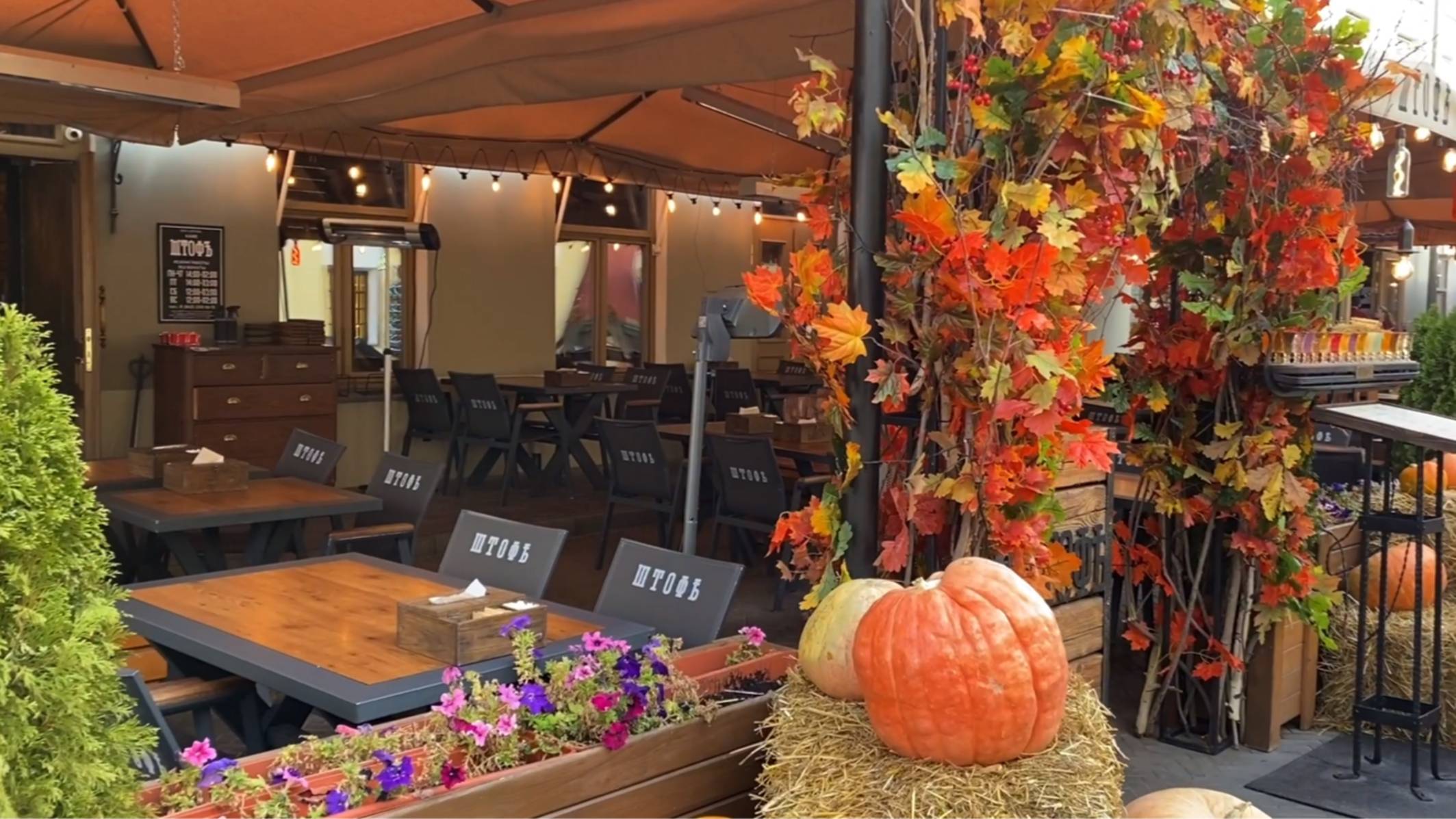 Центр Казани - яркий солнечный день, 8 октября 2024 г. смотреть онлайн