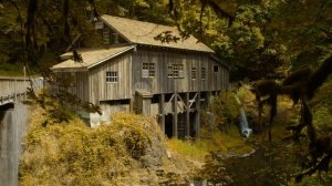 Creek Sounds 3 hours