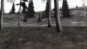 DayZ origins Фаст зум WWS