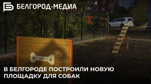 Белгороде построили новую площадку для собак