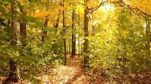 Я смиряюсь Galkache (музыка слова Диана Арбенина)