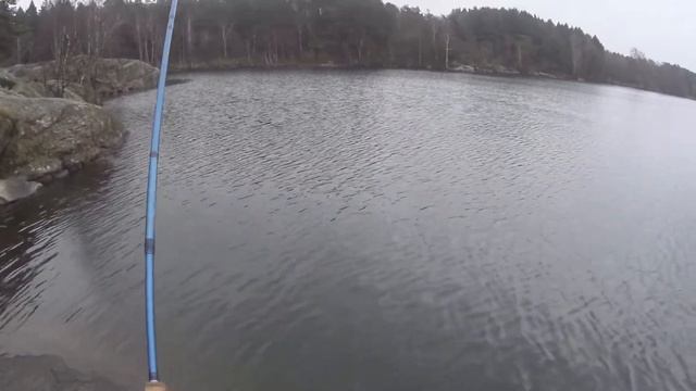 zpey HM signature classic 8wt смотреть онлайн