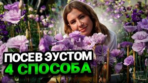 ВЫРАЩИВАНИЕ ЭУСТОМЫ ИЗ СЕМЯН - 4 способа посева, которые дадут 100% всхожесть