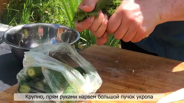 ОГУРЦЫ МАЛОСОЛЬНЫЕ В ПАКЕТЕ