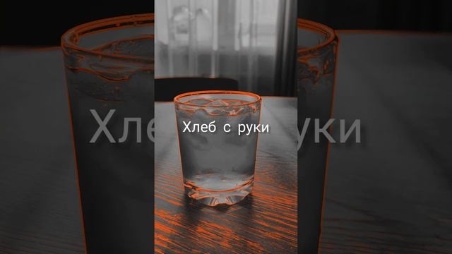 Хлеб с руки едят Иуды #настябашманова