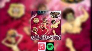metal family-smell like cherry
