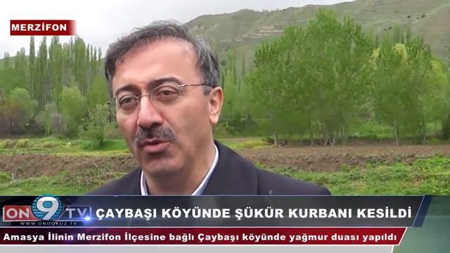 ÇAYBAŞI KÖYÜNDE ŞÜKÜR KURBANI KESİLDİ смотреть онлайн