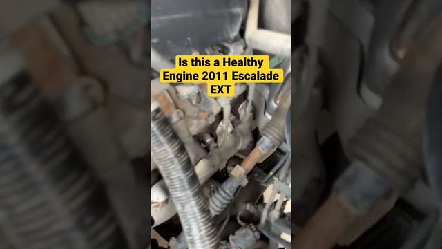 Is this a Healthy Engine on a 2011 Escalade EXT #shorst #mechanic #cadillac #escalade #suv #engine