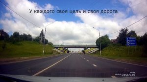 Белый аист летит