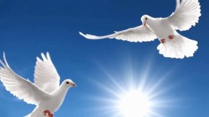 Стихи о любви - Красивое стихотворение. Моя голубка