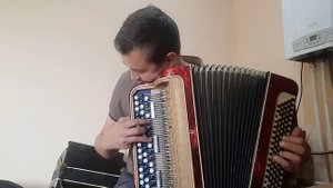 Кнопочный,, Вельтмейстер,,
