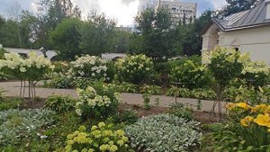 Июль.Жаркий,яркий,ароматный-наш Прекрасный Сад.