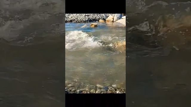 Речка #шумреки #волны #short #reaver #василисаголд #beach #nature #shortsvideo #calm #asmrsounds