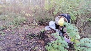 Новое занятие, стоит ли продолжать?