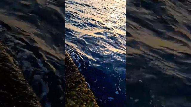 Во тьме #василисаголд #насилиевсемье #шортс #виктимность #вда #shorts #мояистория