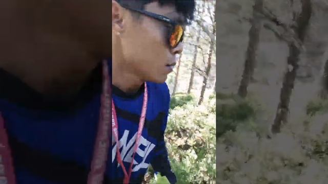 ang napakagandang view dito xa lensvik xa part of norway 😲 🇳🇴 смотреть онлайн