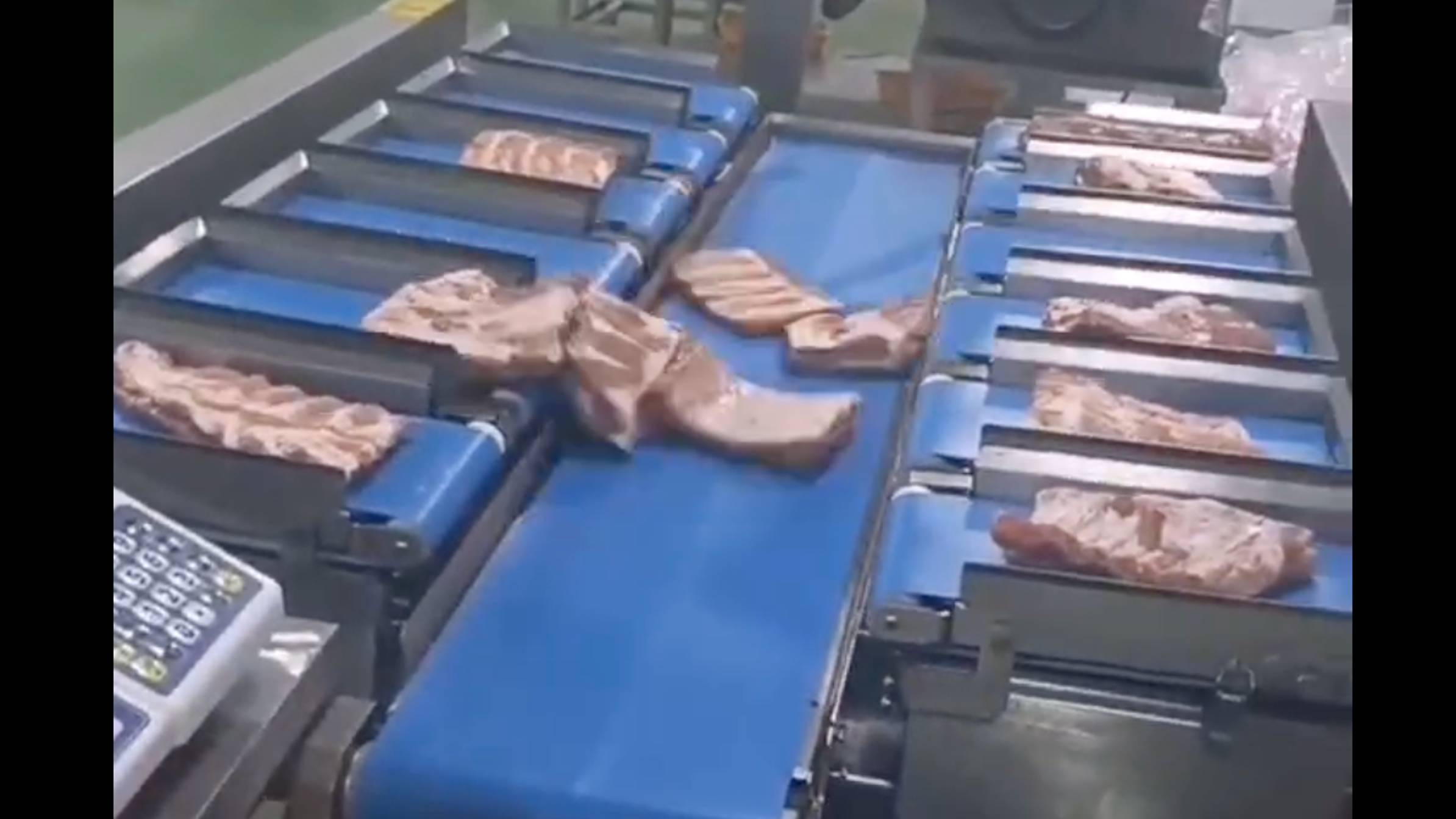 Дозатор весовой автоматический горизонтальный для: рыбы, мяса, овощей, фруктов и т.д. 8-10000 грамм