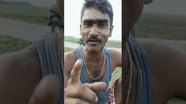 bedha sayeri/desi sayeri in odia/sayeri/odia desi sayeri /odia banda biaa kahani/😂 смотреть онлайн