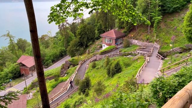 Sê Bırâ - Altın Yüzüğüm Kırıldı